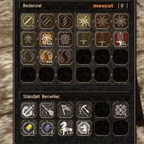  61 LEVEL BEDENSEL İTEMSİZ ŞAMANLI