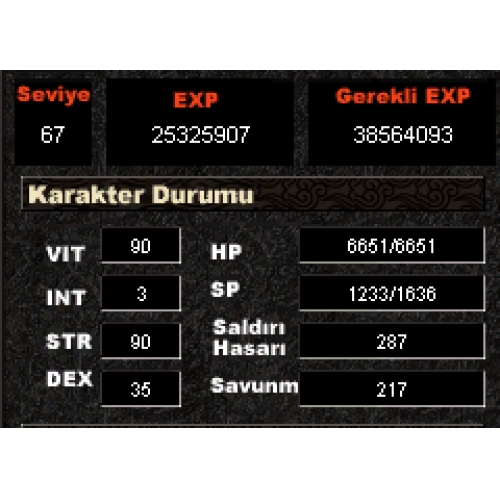  67 LVL BEDENSEL 3 GLİ EVLİ 63 LVL 3GLİ ŞAMANIYLA BİRLİKTE