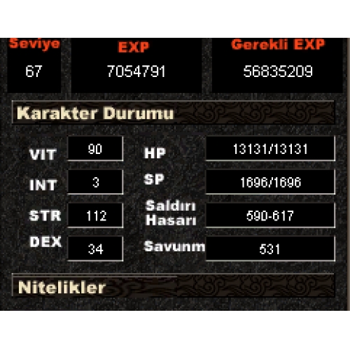  67 LVL BEDENSEL 2 GLİ YANINDA 61 LVL ŞAMANIYLA BİRLİKTE