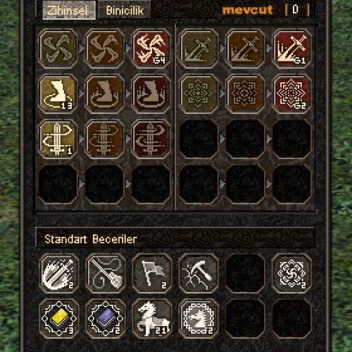  67 LEVEL 3 G ZİHİNSEL RUH G4 GB G2