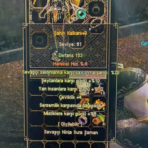 +9 ŞAHİN KALKAN SERSEM 10 YARI 4 ÇEVİK ELİT WS LİK