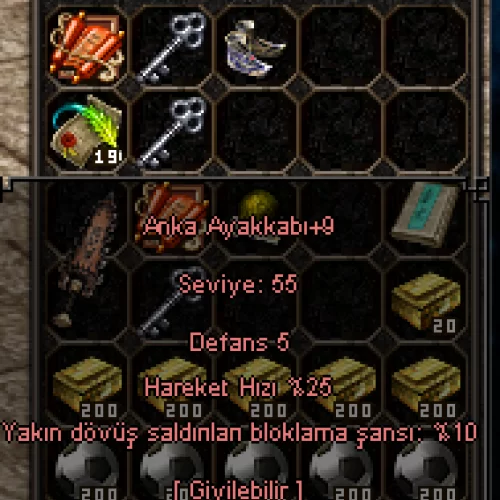 +9 ANKA AYAKKABI