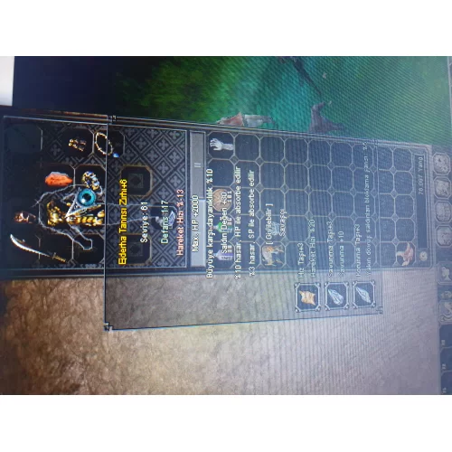  E T 2K HP 30 STR 10 BÜYÜ SAV 10 HP ABSORBE