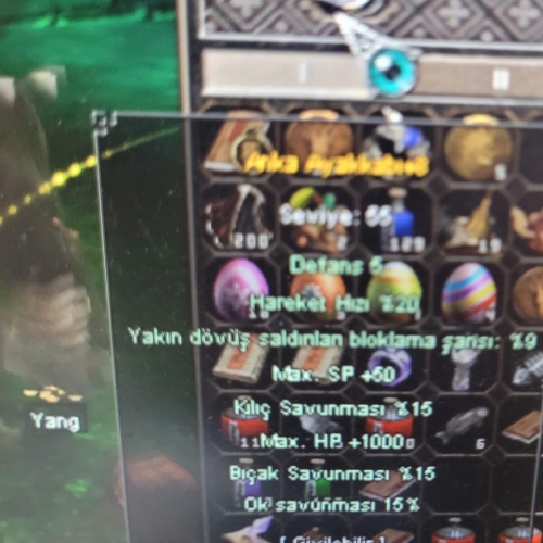 +8 ANKA 15 KILIÇ 15 BİCAK 15 OK 1K HP - Kopya #214430