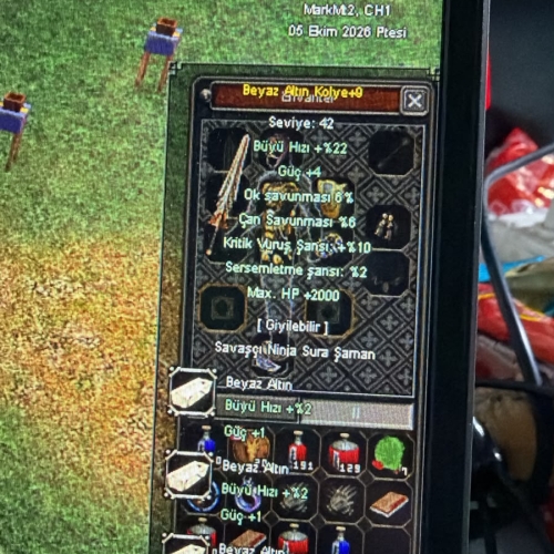 +9 BEYAZ ALTIN KOLYE 2000 HP 10 KRİTİK ELİT OĞLU ELİT