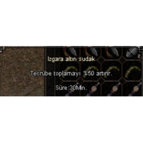  2 ADET ALTIN SUDAK 50 EXP