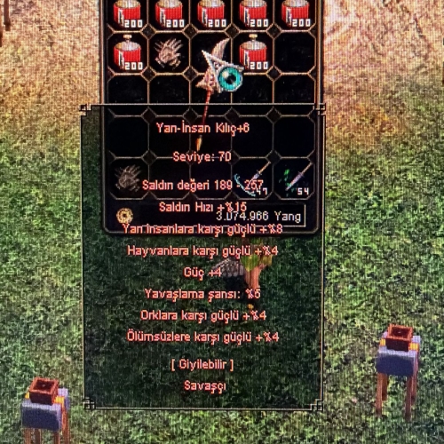  +6 YARI İNSAN KILICI 5 EFSUN