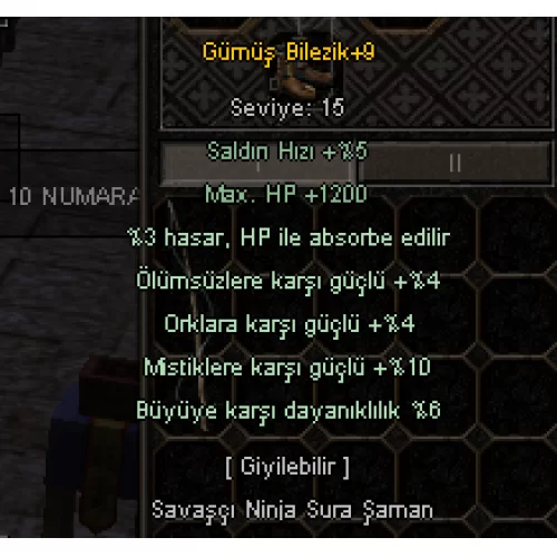 Gümüş Bilezik +9