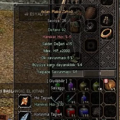  + 9 ASLAN PLAKA ZIRH +4 TAŞLI