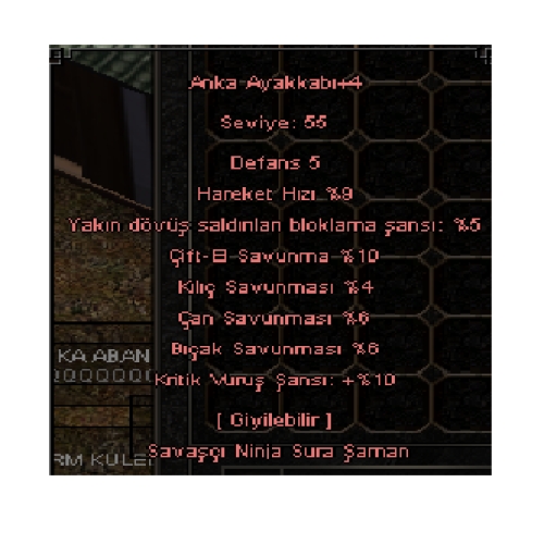 +4 ANKA AYAKKABI - 10 KRİTİK - 10 ÇİFT EL- 5 EFSUN