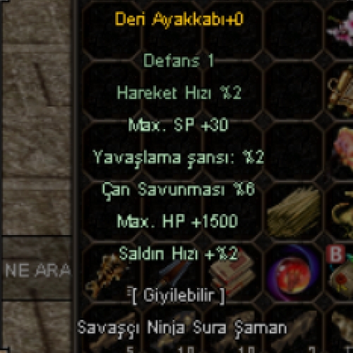  DERİ AYAKKABI +0 1LVLIK 5 EFSUN