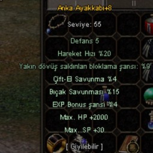 1-1 Vslik +8 Anka ayakkabı