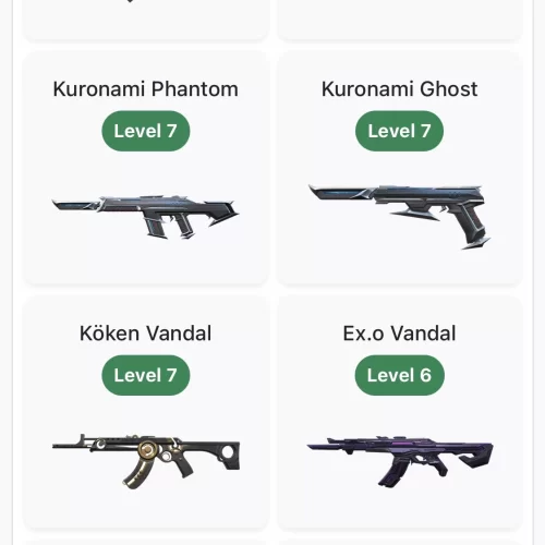 33 yeni skinli hesap