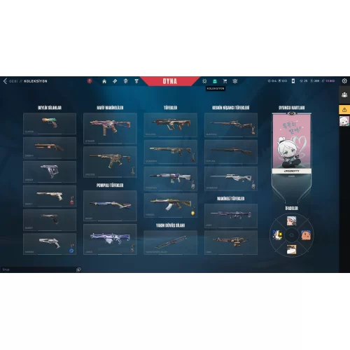  TR Valorant Skinli Hesap Peak Plat 3