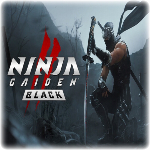  NINJA GAIDEN 2 - GARANTİ