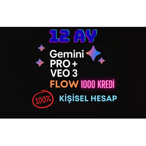  Google AI Gemini 3 Pro  Veo3.1  Flow  12 Ay