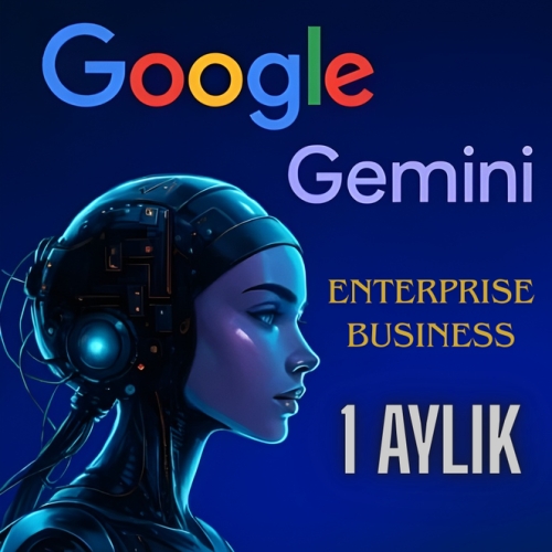  GEMINI ENTERPRISE BUSINESS - 1 AYLIK