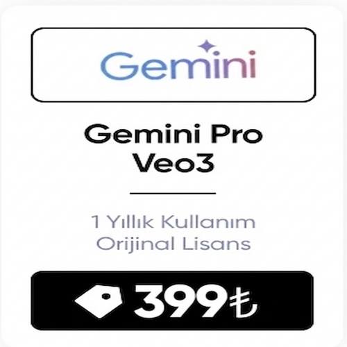  Google Gemini Pro Veo3.1  1 Yıllık 12 Ay