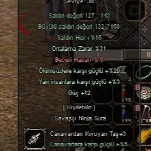 +9 Dolunay Kılıcı Elit İtem