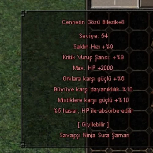 +8 CENNET BİLEZİK  2K HİP 10 BÜYÜ 5 ABSORBER