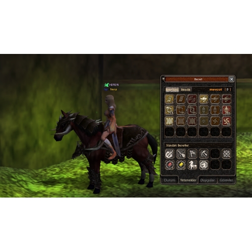  54 LEVEL ELİT ŞAMAN EJDER GÜCÜ NENA