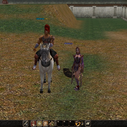  43 LEVEL SAVAŞÇI – BEDENSEL HAVA G - ŞAMANLA 34 LEVEL BERABER