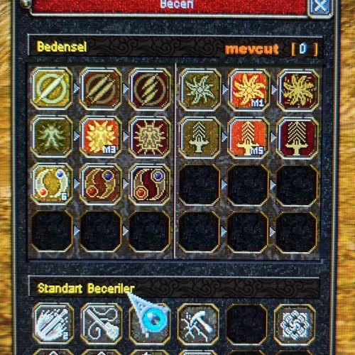 61 Level Bedensel İçi Dolu DETAYLAR AÇIKLAMA !!!! TEKLİFE AÇIKTIR -----