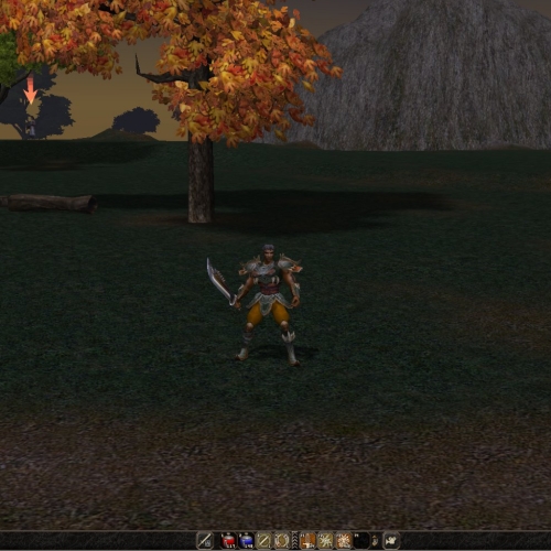  49 Level Bedensel Savaşçı Atı Zırhlı ve Evli Şamanlı