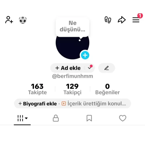 CANLI YAYIN AÇIK TİKTOK HESABI