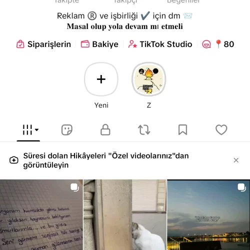  Tiktok 1.9 milyon takipçili ve 12 milyon beğenili süper hesap