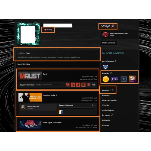  RUST Sekiro:Shadows Die Twice ARK:Survival Evolved SnowRunner 10.500 TL