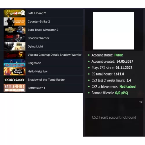 ETS 2 Battlefield 1 Dying Light Enigmoon 10.000 TL STEAM OYUN