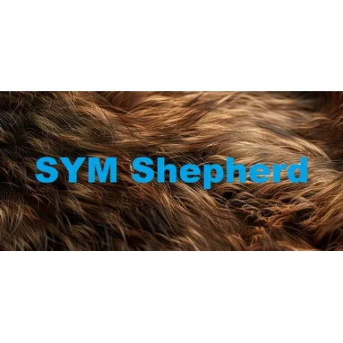  SYM Shepherd + OTO GUARD + GARANTİ