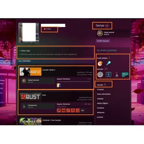  RUST MAFİA Assetto Corsa 4550 TL STEAM OYUN ENVANTERLİ STEAM LV 14