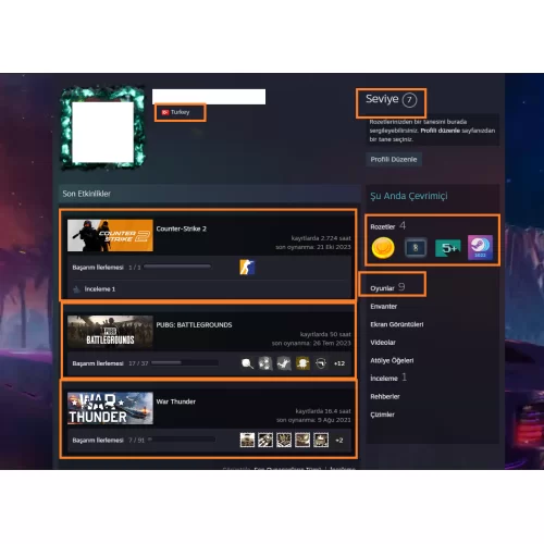  GTA V PUBG PLUS ETS 2 The Witcher 3 6750 TL STEAM OYUN ENVANTERLİ