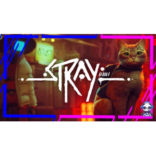  ⭐️STRAY STEAM ⭐️