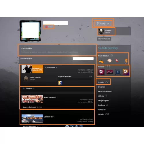  101 LV STEAM 1095 TL CS 2 ENVANTERLİ GTA V Call of Duty:Black Ops III-II