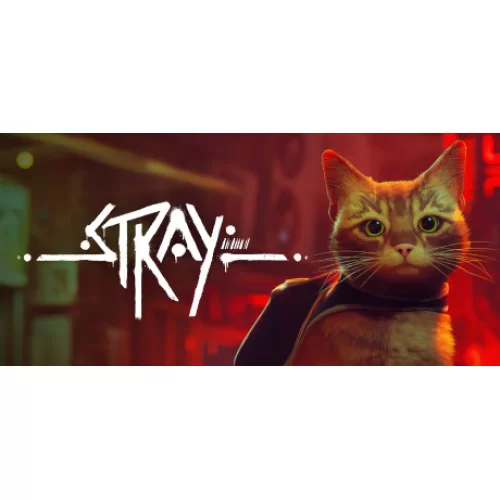  Stray + OTO GUARD + GARANTİ