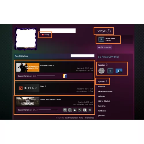  2 AD ARCANA 372 TL STEAM BAKİYELİ 8.146 DOTA 2 SAAT 1179 İTEMLİ