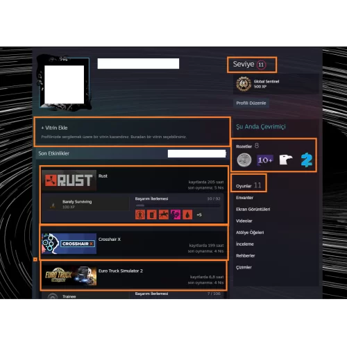  RUST TR HESABI 580+470 TL CS 2 ENVTR VE STEAM BAKİYELİ ETS 2 Wild