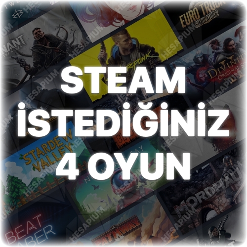  İstediğiniz 4 Oyun + Garanti