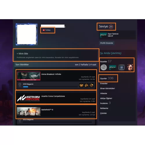 173.000 TL STEAM OYUNLU Battlefield 1-4-V Need for Speed Heat-Unbound