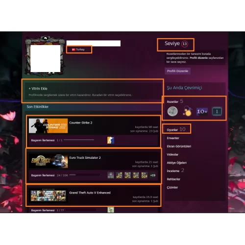  GTA V Far Cry 5 ETS 2 BeamNG.drive Hitman: Absolution 8000 TL STEAM OYUN