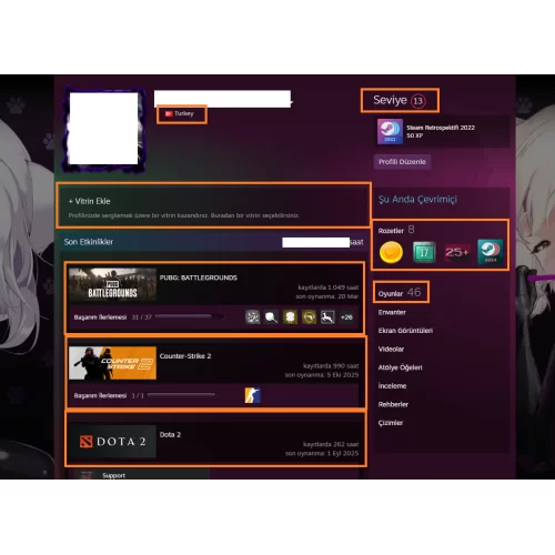  GTA V ETS 2 BF 3 Zombie Army Trilogy Sniper Elite 3 20.000 TL STEAM OYUN