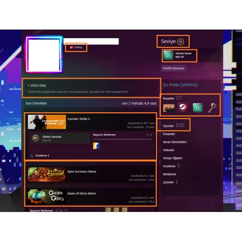  BF V Assassin\s Creed Victor Vran 44.750 TL STEAM OYUN ENVANTERLİ