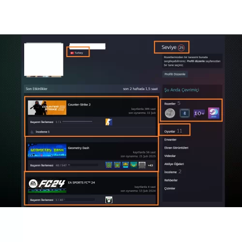  132 K POİNT EA SPORTS FC 24-23-22 ETS 2 6750 TL STEAM OYUN
