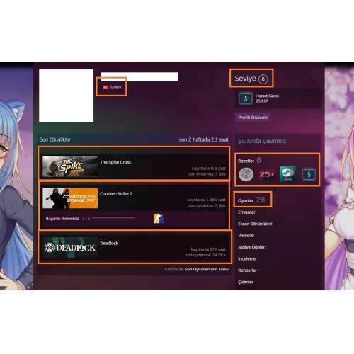  RAFT Killing Floor 2 The Crew 2 Valheim 17.500 TL STEAM OYUN ENVANTERLİ