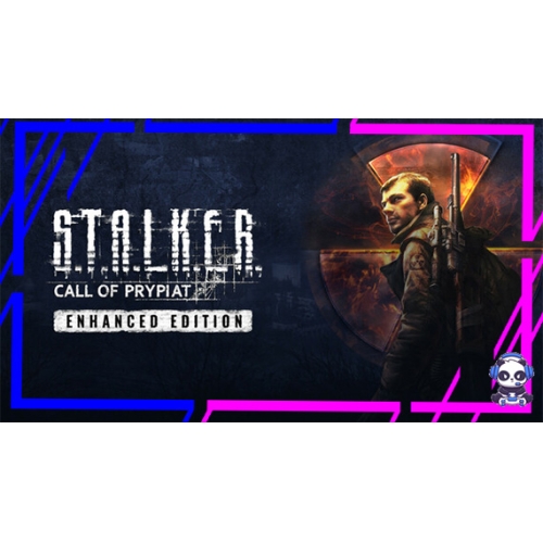  ⭐️STALKER CALL OF PRİPYAT EDİTİON STEAM ⭐️