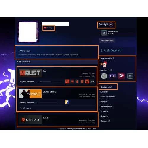  RUST PUBG PLUS RAİNBOW DOTA 2 1 AD ARCANA 8750 TL STEAM OYUN