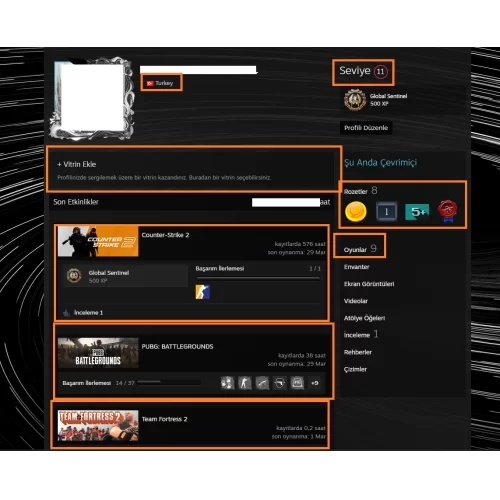  Metro 2033 Redux R.E.P.O. Dark Sector Left 4 Dead 2 4250 TL STEAM OYUN